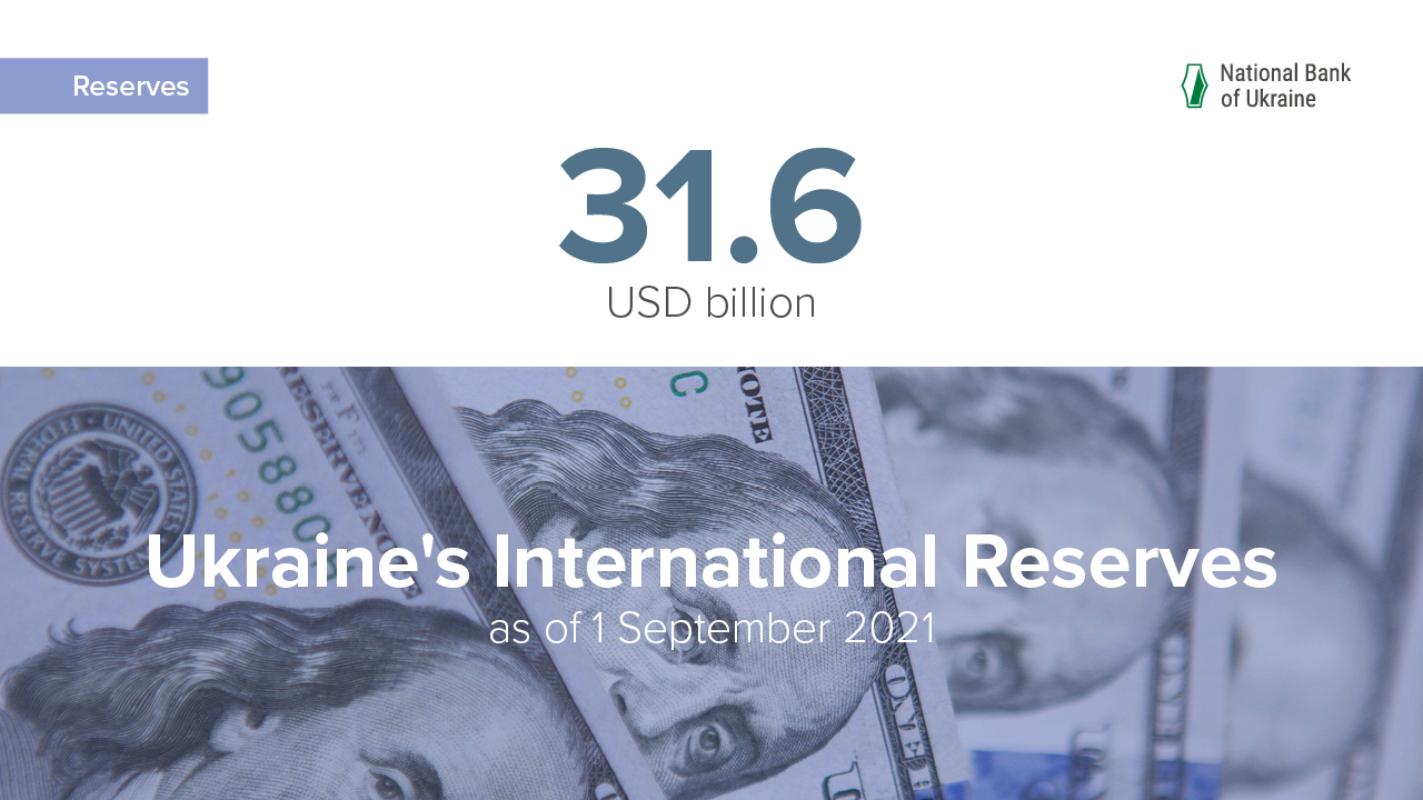 International Reserves Rose to Nine-Year High of USD 31.6 Billion in August